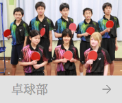 pingpong